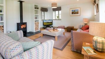 TV, lareira, DVD player, livros