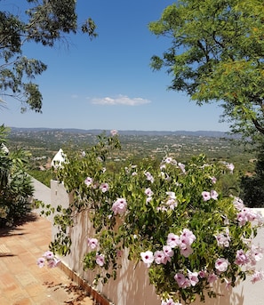 Property grounds - Monte-Bougainvillea Holiday Apartments in central Algarve -MALVAS- (Faro)