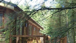 Eine Holzhütte mit einer Holzterrasse, umgeben von dichtem Wald.