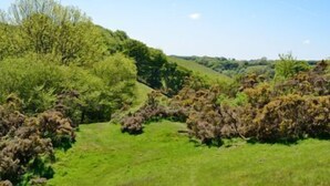 Eine grüne Landschaft mit Bäumen und Hügeln im Hintergrund.