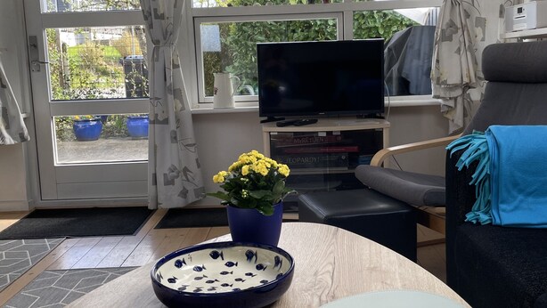 Ein gemütliches Zimmer mit Fernseher, einer Couch, einem Esstisch und einem Blumentopf.