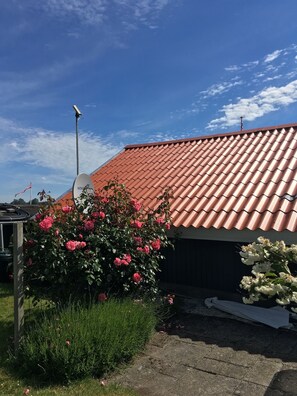 Property grounds - Cozy cottage in Kerteminde Sommerby near lovely beach and beautiful nature (Kerteminde)