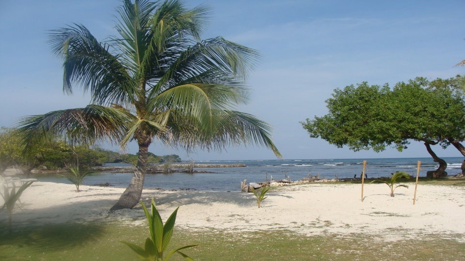 Spectacular Ecocabana in a natural setting