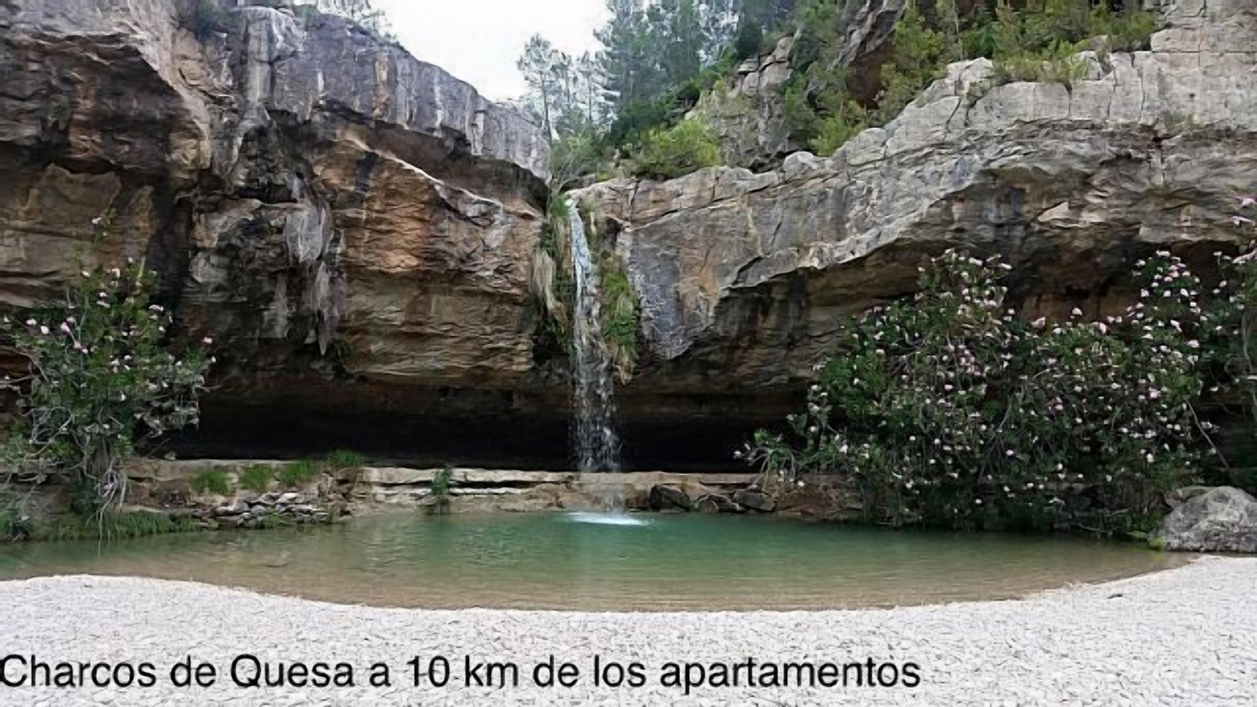 Shearer House for 4 people