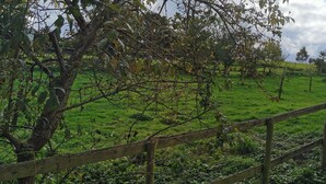A rural landscape with a wooden fence, green grass, and trees. - Fantastic self-catering apartment on the outskirts of Caerleon (Caerleon)