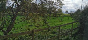 Property grounds - Fantastic self-catering apartment on the outskirts of Caerleon (Caerleon)