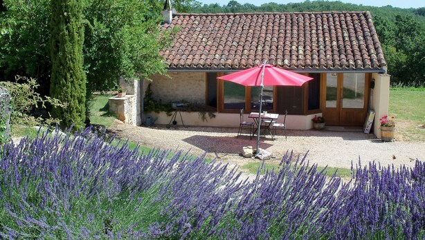 A rustic house with a tiled roof, a patio with a red umbrella, and a garden with lavender. - Charming authentic cosy cottage in the heart of the Quercy countryside (Mauroux)