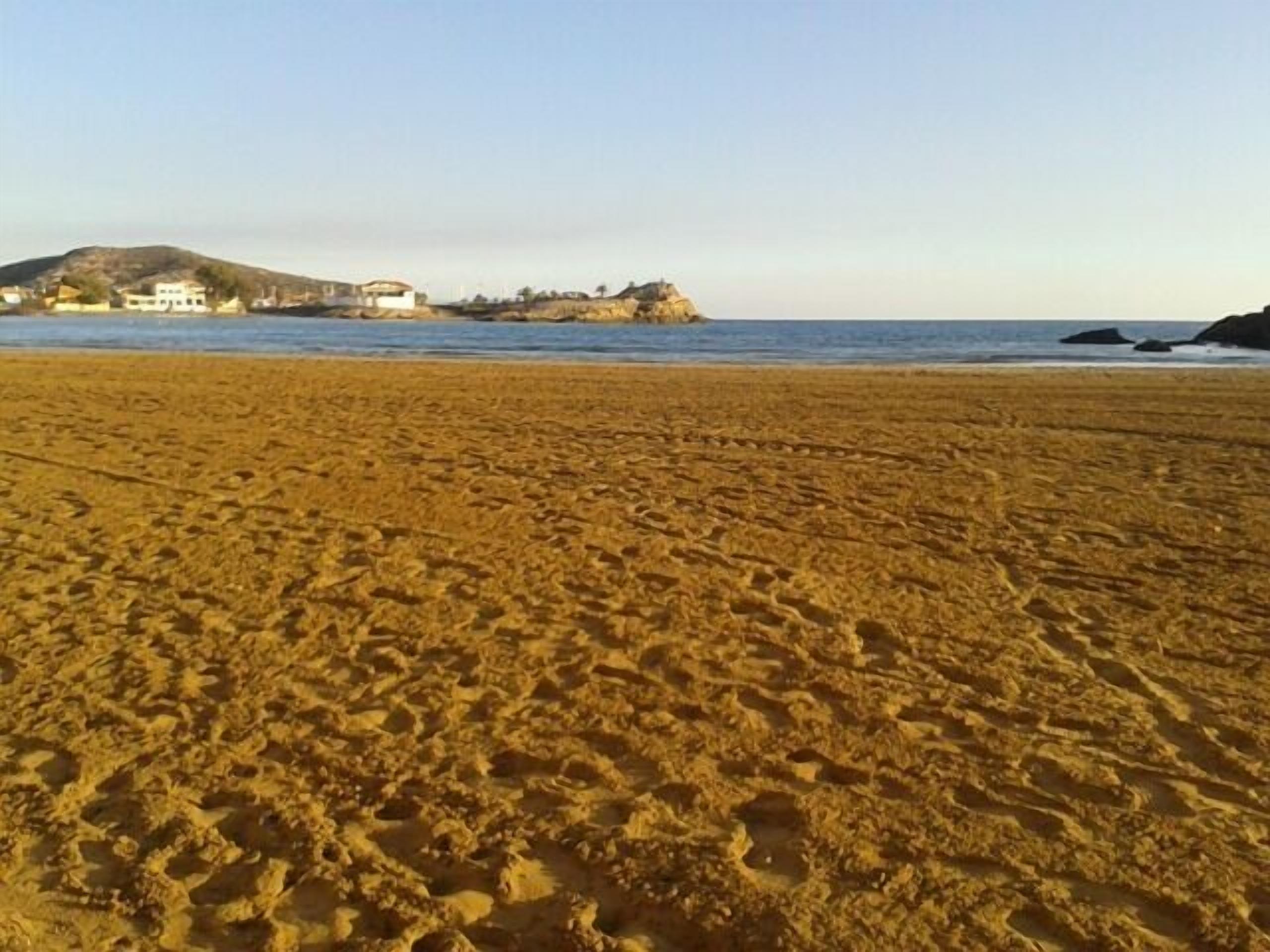 Serviettes de plage