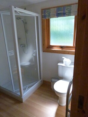 Combined shower/bathtub, hair dryer, towels