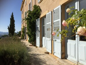 Detalle del exterior
