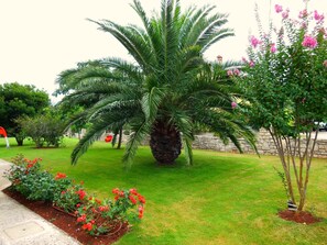 Property grounds - Romantic Apartment Anita1 in Zambratija – Near the Beach & Mediterranean Charm (Zambratija)