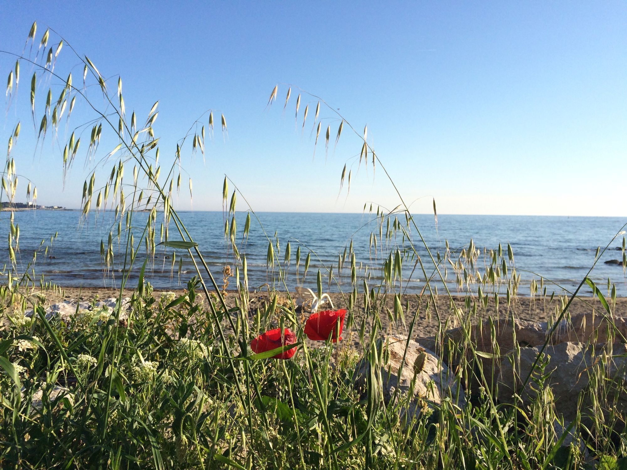 En strand med højt græs og frit udsyn til havet.