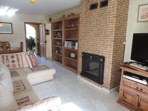 TV, fireplace, DVD player, books