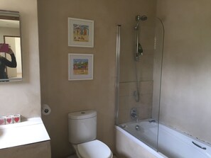 Combined shower/bathtub, hair dryer, towels, toilet paper