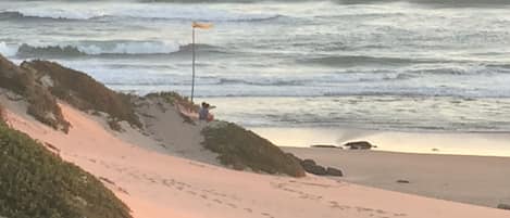 Plage à proximité, chaises longues