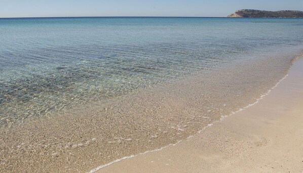 بالقرب من الشاطئ