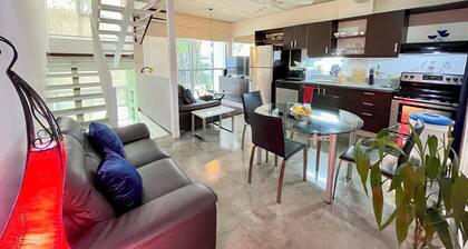 Beautiful Spacious Loft. Santa Ana Downtown. Very high ceilings. 24/7 security.