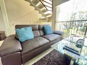 智能电视、DVD 播放器、书、音乐库