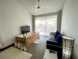 智能电视、DVD 播放器、书、音乐库