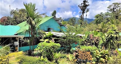 Come and enjoy a nice walk and have fun as a family.