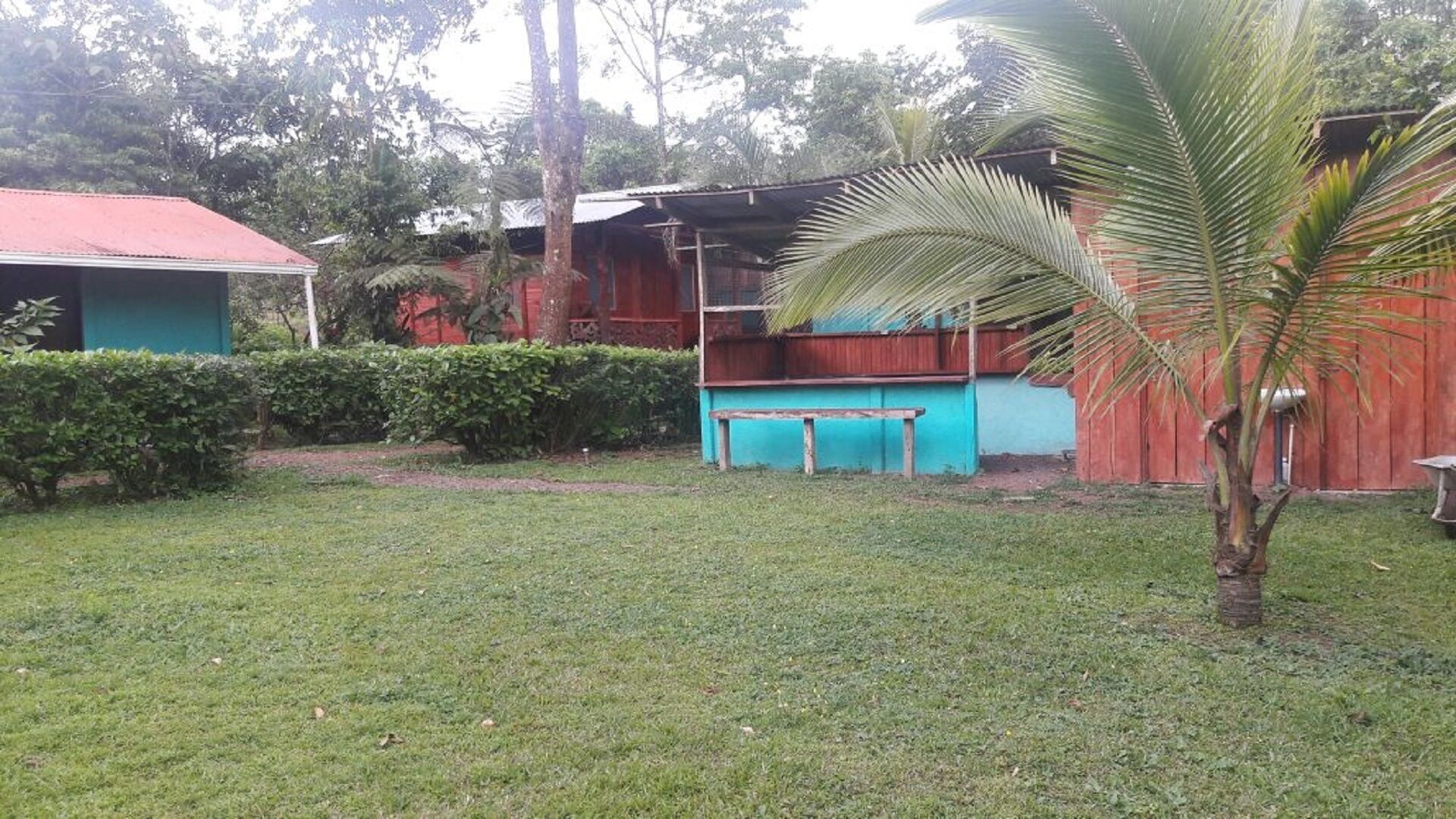 A fenced outdoor area with a small bench, a palm tree, and a building with a red roof.