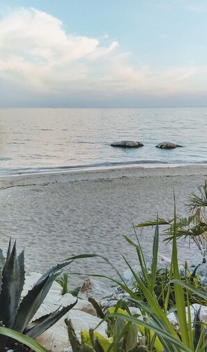 Playa en los alrededores y camastros