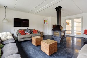 TV connectée, cheminée, lecteur de DVD, chaîne hi-fi