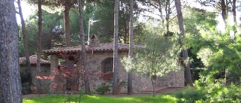 المنطقة المحيطة بالمنشأة