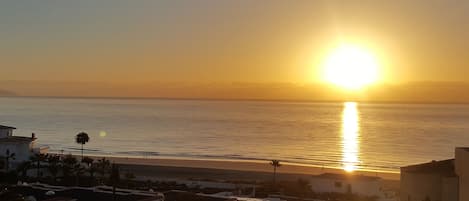 بالقرب من الشاطئ