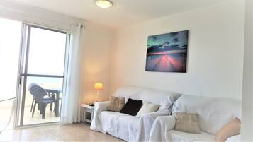 Televisión y libros