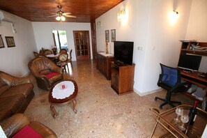 TV, fireplace