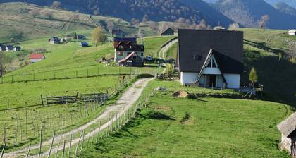 Monte Crai, your comfy nest in Transylvania, surrounded by mountains