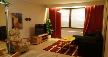 Nice big apartment in Vaasa
