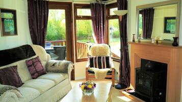 TV connectée, cheminée, lecteur de DVD