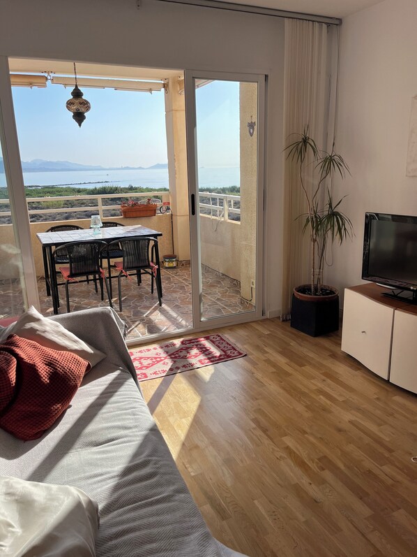TV, DVD player, video library