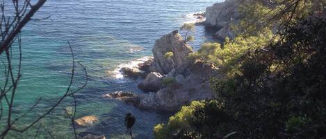 Overlooking the ocean, this property offers breathtaking views of the coastline.