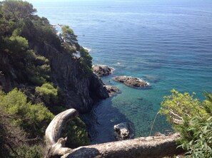 A coastal landscape with rocky cliffs, clear blue sea, and dense greenery. - Charming studio with sea view (Hyères)