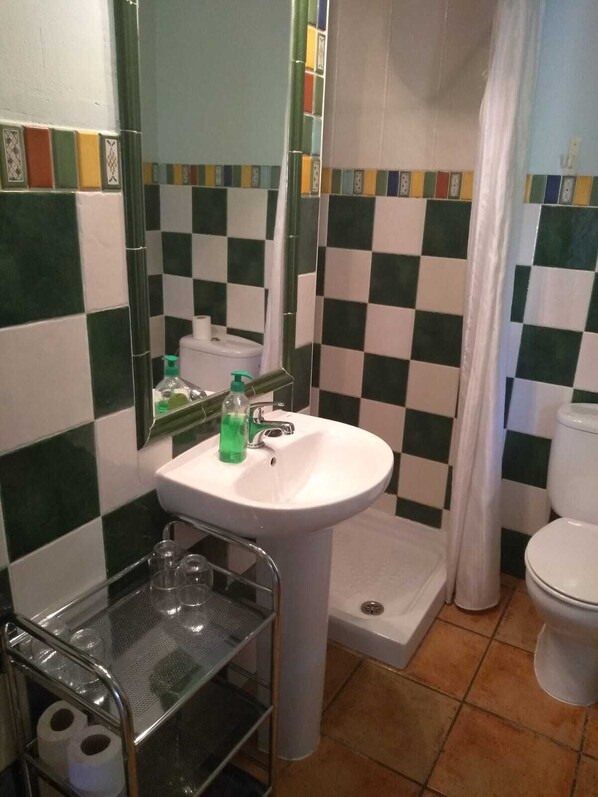 A bathroom with a white sink, a mirror, a shower, and a toilet. - Fantastic rural house "Amaltea" in Candeleda (Candeleda)