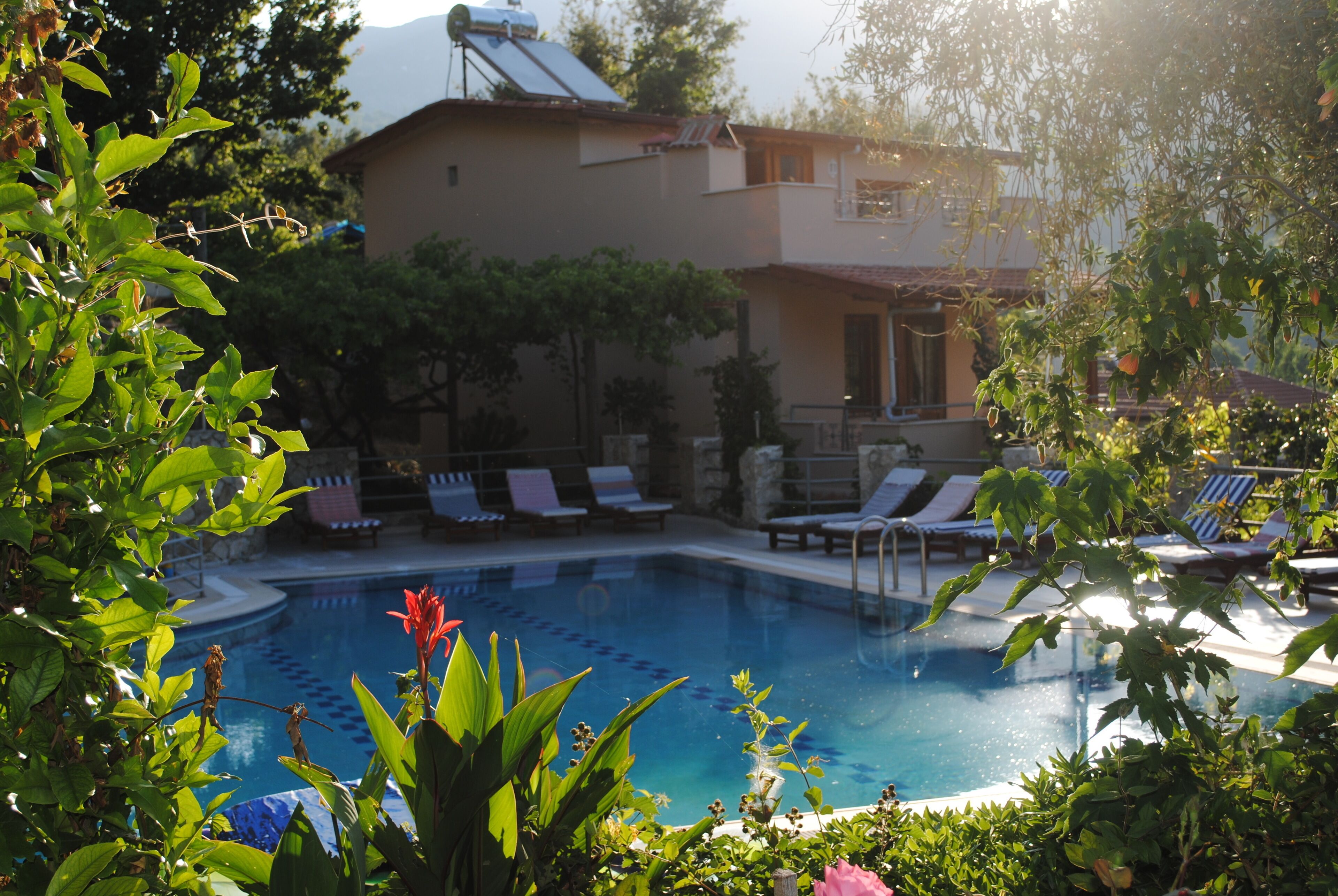 Piscina com espreguiçadeiras, um edifício com varanda e vegetação ao redor.