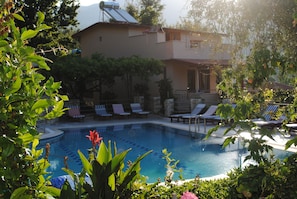 Piscina com espreguiçadeiras, um edifício com varanda e vegetação ao redor.