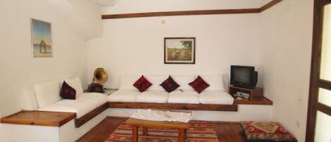 TV, fireplace, DVD player, books