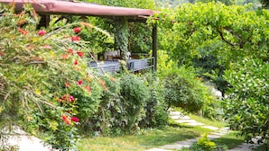 A garden with a pergola, a pathway, and lush greenery.