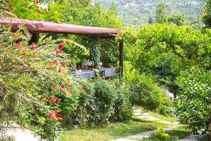 A garden with a pergola, a pathway, and lush greenery.