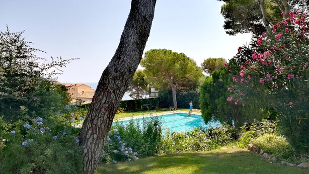 Una piscina rodeada de abundante vegetación y plantas florecientes.