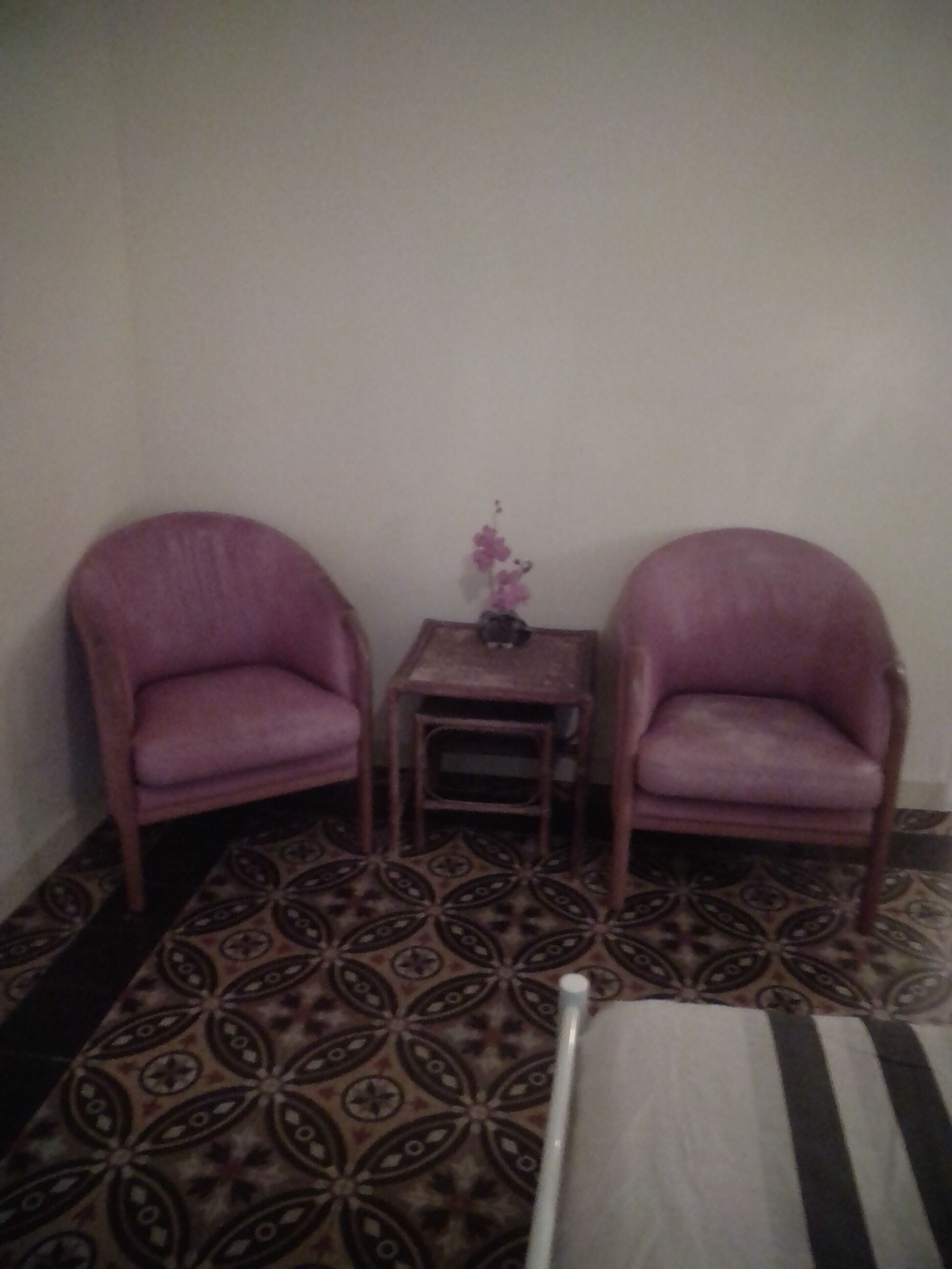 Renovated winery with gite for 4 people in Languedoc-Roussillon