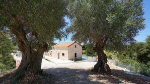 Un bâtiment en pierre avec un toit en tuiles, entouré d’oliviers, et une piscine en arrière-plan.