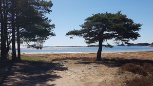 Uklassifisert bilde, 2 av 24, knapp