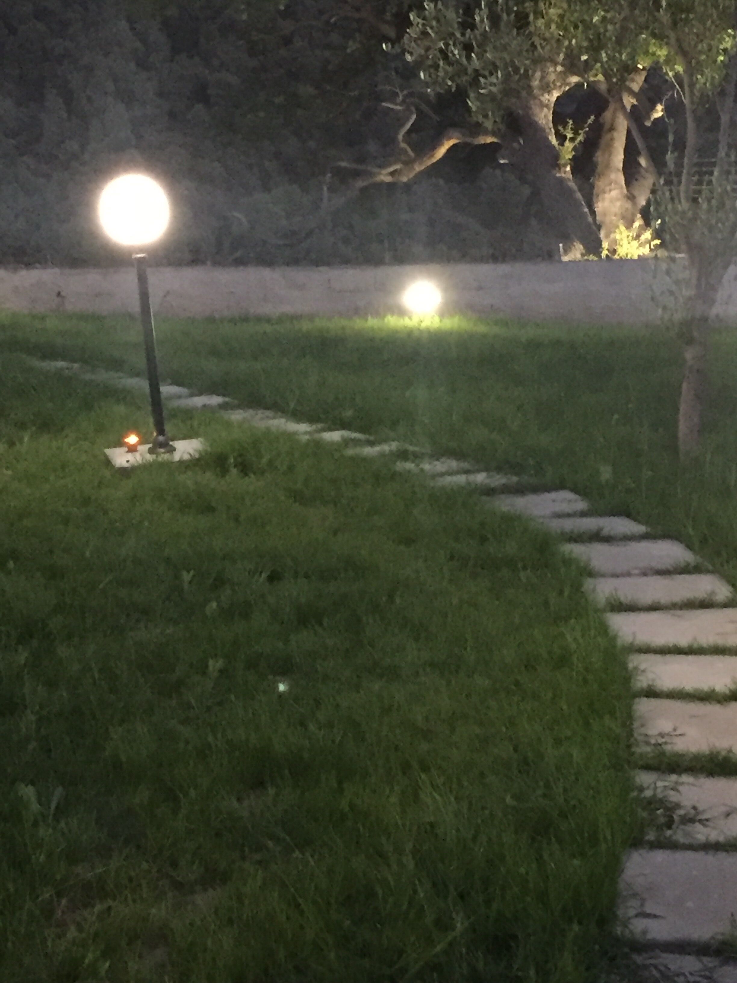 المنطقة المحيطة بالمنشأة