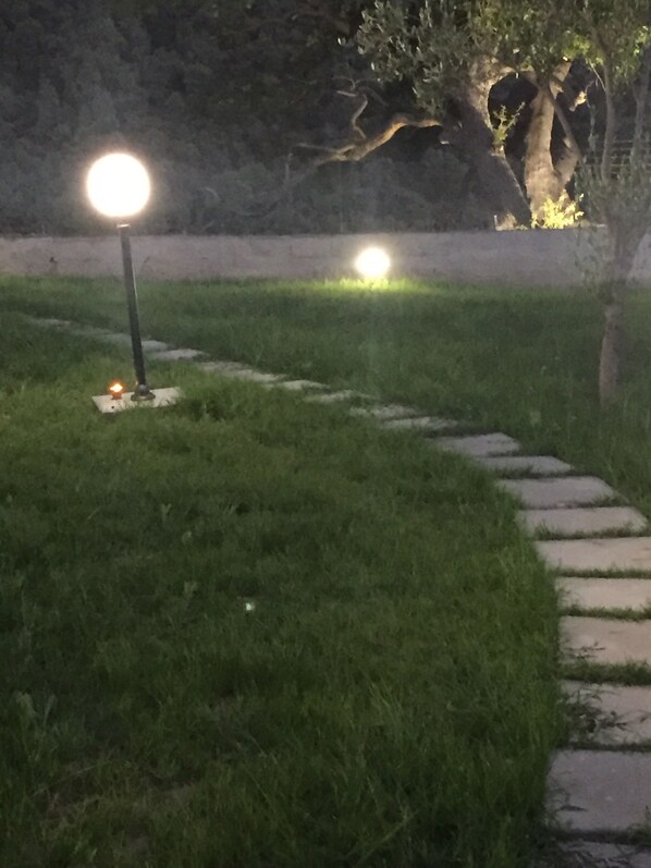 Terrain de l’hébergement 