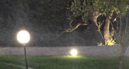 SONDERANGEBOT - IDEALE VILLA X FAMILIEN IN PALINURO